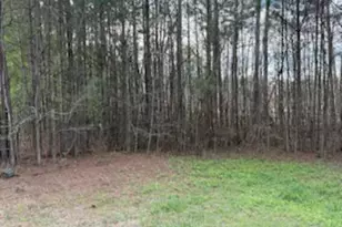 0 Willow, McDonough, GA 30253 - Photo 1