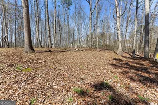 125 Shenandoah Ln, Alto, GA 30510 - Photo 26