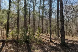 1430 Cleveland Farm Rd, Locust Grove, GA 30248 - Photo 1