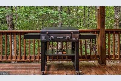 395 Mill Creek Acres, Blue Ridge, GA 30513 - Photo 8