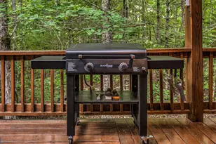 395 Mill Creek Acres, Blue Ridge, GA 30513 - Photo 8