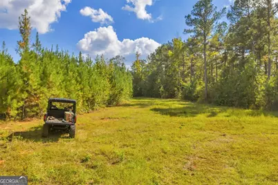 0 Abercrombie Road, Forsyth, GA 31029 - Photo 4