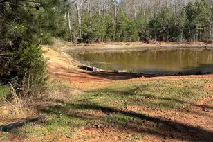 1032 White Owl Dr, Elberton, GA 30635 - Photo 12
