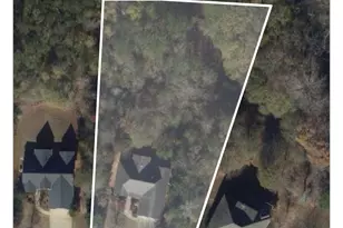 300 Autumn Creek, Senoia, GA 30276 - Photo 46