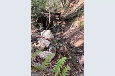 106 Fernbanks Court, Athens, GA 30605 - Photo 30