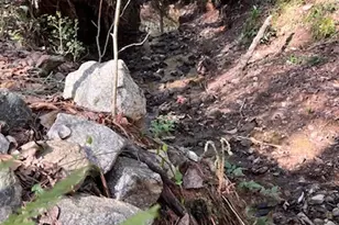 106 Fernbanks Ct, Athens, GA 30605 - Photo 30