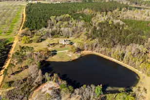 1569 Pond View Rd, Metter, GA 30439 - Photo 38