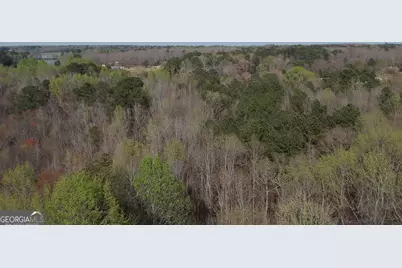 0 Cobb Road, Covington, GA 30014 - Photo 16