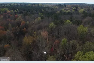 0 Cobb Road, Covington, GA 30014 - Photo 2