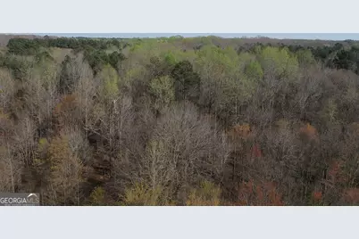 0 Cobb Road, Covington, GA 30014 - Photo 6