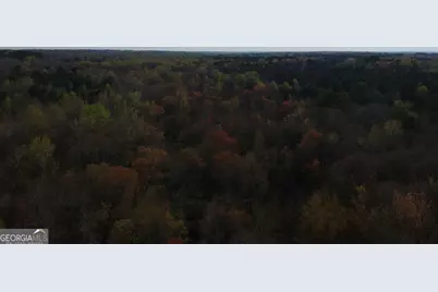 0 Cobb Road, Covington, GA 30014 - Photo 10