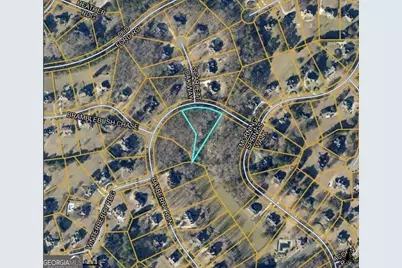 110 Bayberry Run, Fayetteville, GA 30214 - Photo 1