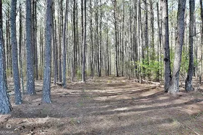 1166 B Street, Pine Mountain, GA 31823 - Photo 42