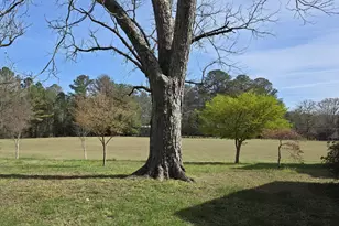 1166 B St, Pine Mountain, GA 31823 - Photo 70