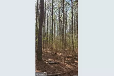 1166 B Street, Pine Mountain, GA 31823 - Photo 54