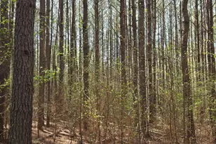 1166 B St, Pine Mountain, GA 31823 - Photo 54