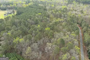 1166 B St, Pine Mountain, GA 31823 - Photo 50