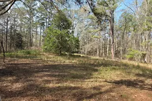 1166 B St, Pine Mountain, GA 31823 - Photo 62