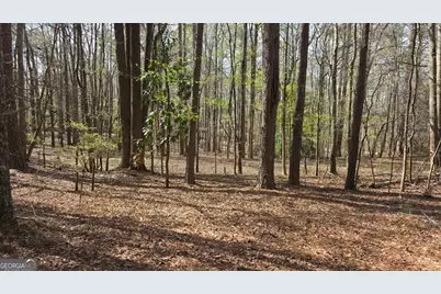1166 B Street, Pine Mountain, GA 31823 - Photo 50