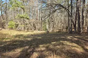 1166 B St, Pine Mountain, GA 31823 - Photo 60