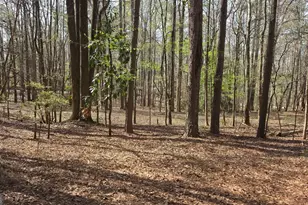 1166 B St, Pine Mountain, GA 31823 - Photo 66