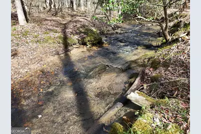 Lot 44A Synacia Drive, Mineral Bluff, GA 30559 - Photo 16