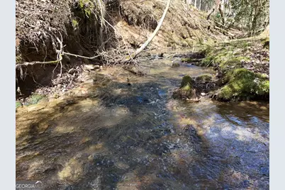 Lot 44A Synacia Drive, Mineral Bluff, GA 30559 - Photo 12