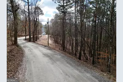 Lot 44A Synacia Drive, Mineral Bluff, GA 30559 - Photo 8