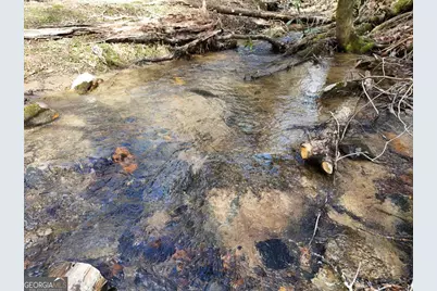 Lot 44A Synacia Drive, Mineral Bluff, GA 30559 - Photo 12