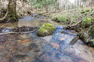 Lot 44A Synacia Dr, Mineral Bluff, GA 30559 - Photo 1