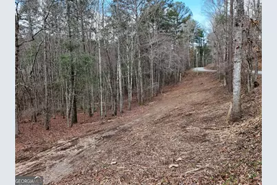 Lot 44A Synacia Drive, Mineral Bluff, GA 30559 - Photo 4