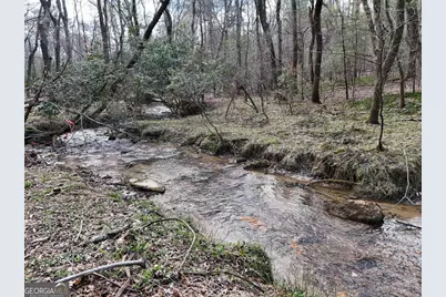 Lot 44A Synacia Drive, Mineral Bluff, GA 30559 - Photo 14