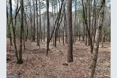 Lot 44A Synacia Drive, Mineral Bluff, GA 30559 - Photo 24