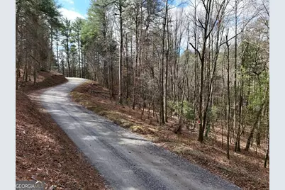 Lot 44A Synacia Drive, Mineral Bluff, GA 30559 - Photo 18