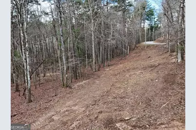 Lot 44A Synacia Drive, Mineral Bluff, GA 30559 - Photo 20