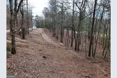 Lot 44A Synacia Drive, Mineral Bluff, GA 30559 - Photo 22