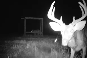 2190 Reese Rd, Rutledge, GA 30663 - Photo 58