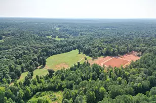 2190 Reese Rd, Rutledge, GA 30663 - Photo 62