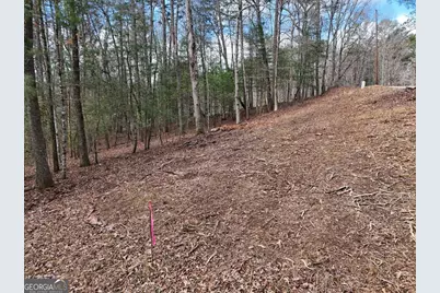 Lot 44B Synacia Drive, Mineral Bluff, GA 30559 - Photo 6