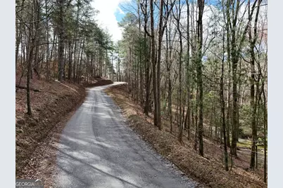 Lot 44B Synacia Drive, Mineral Bluff, GA 30559 - Photo 18