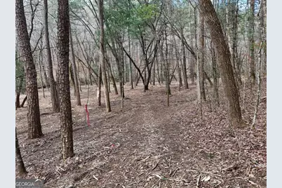 Lot 44B Synacia Drive, Mineral Bluff, GA 30559 - Photo 24