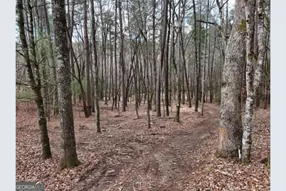 Lot 44B Synacia Drive, Mineral Bluff, GA 30559 - Photo 22