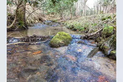 Lot 44B Synacia Drive, Mineral Bluff, GA 30559 - Photo 2