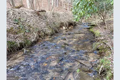 Lot 44B Synacia Drive, Mineral Bluff, GA 30559 - Photo 10