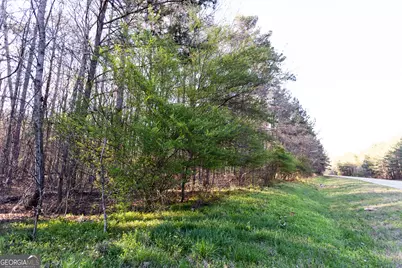 0 Social Circle Parkway, Social Circle, GA 30025 - Photo 2