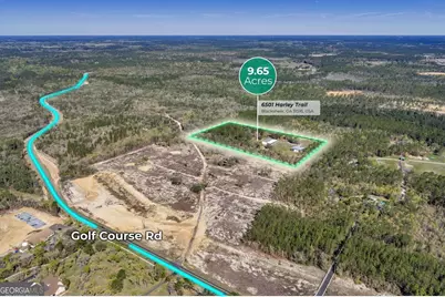 6501 Harley Trail, Blackshear, GA 31516 - Photo 66