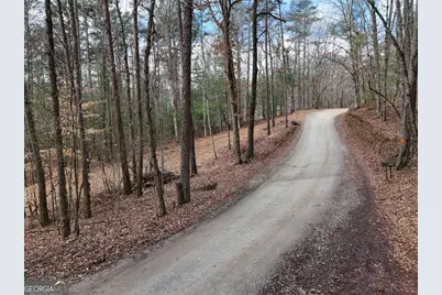 Lot 45B Synacia Drive, Mineral Bluff, GA 30559 - Photo 2