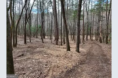 Lot 45B Synacia Drive, Mineral Bluff, GA 30559 - Photo 22