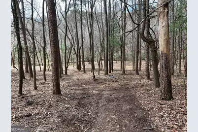 Lot 45B Synacia Drive, Mineral Bluff, GA 30559 - Photo 4