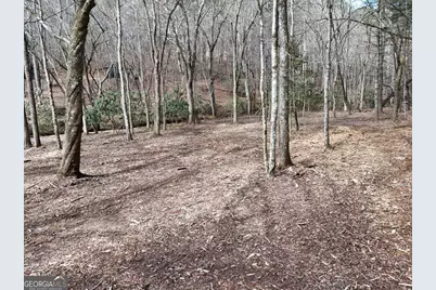Lot 45B Synacia Drive, Mineral Bluff, GA 30559 - Photo 26